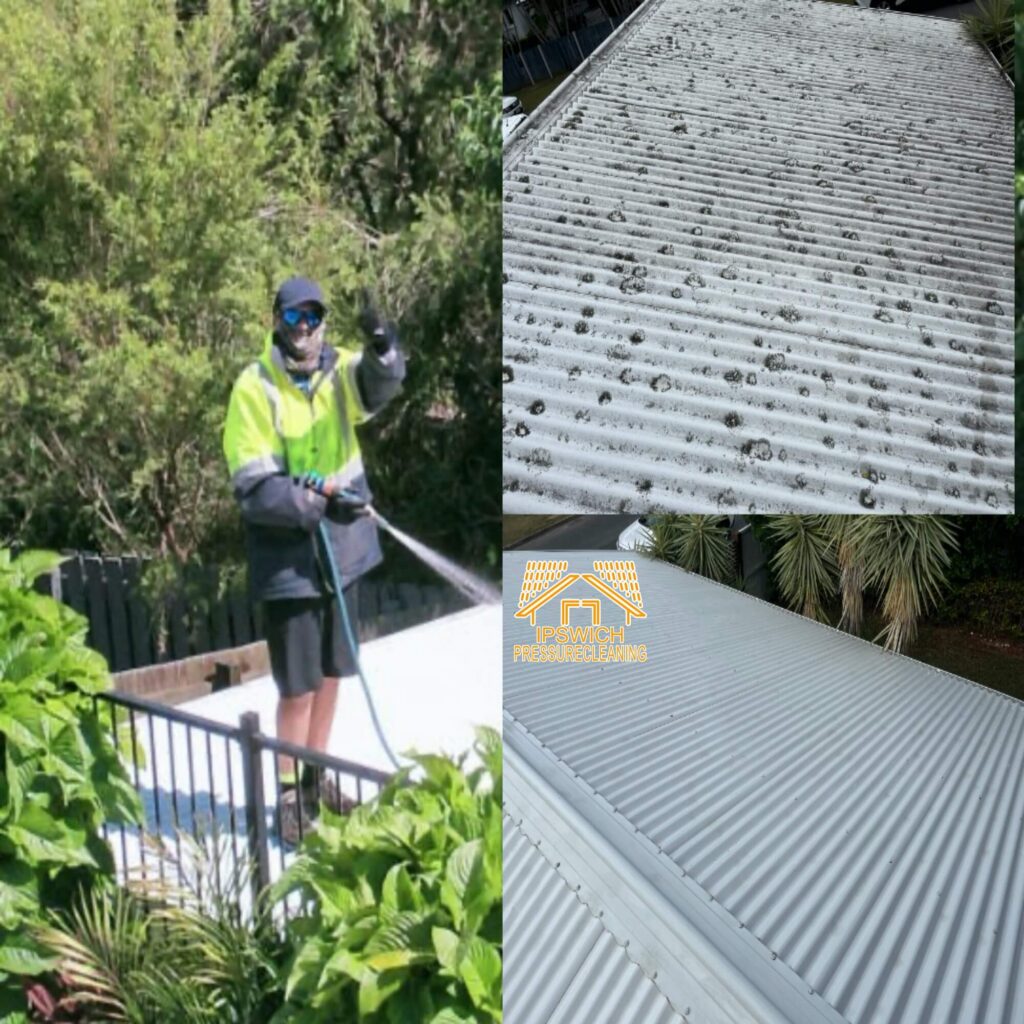 Ipswich Galvanised Roof Cleaning